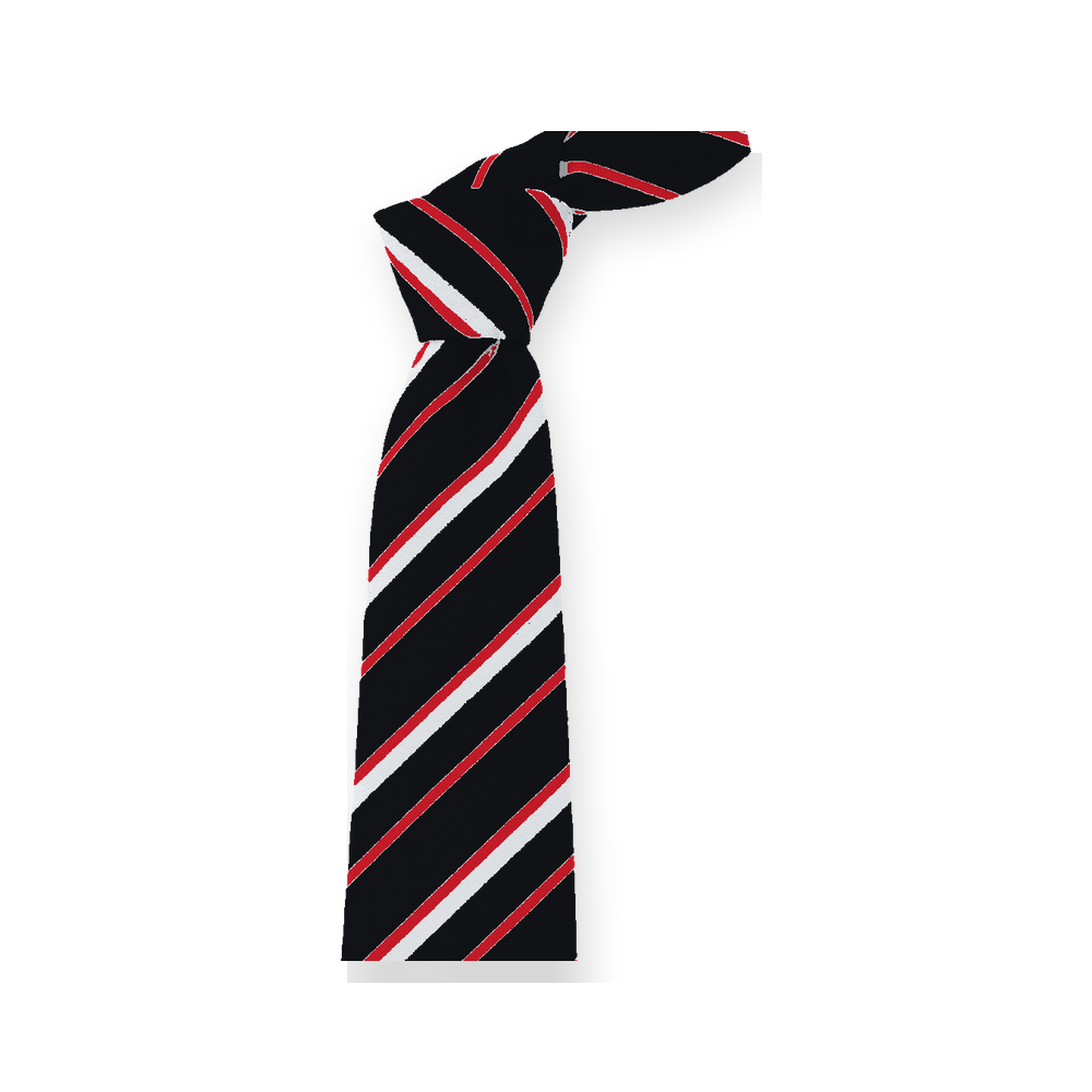 Bushmills Primary School Tie