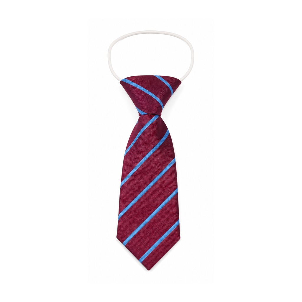 Damhead Primary School School Tie Elastic