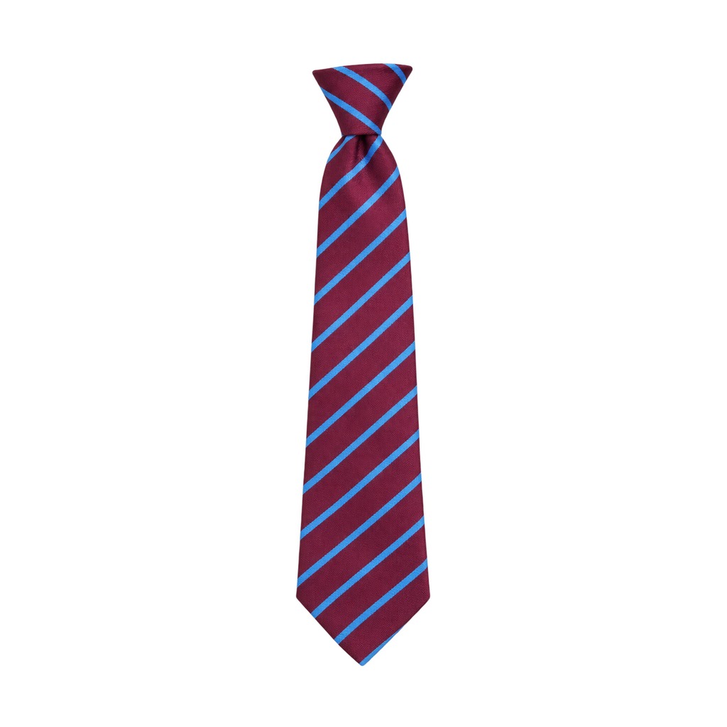 Damhead Primary School School Tie
