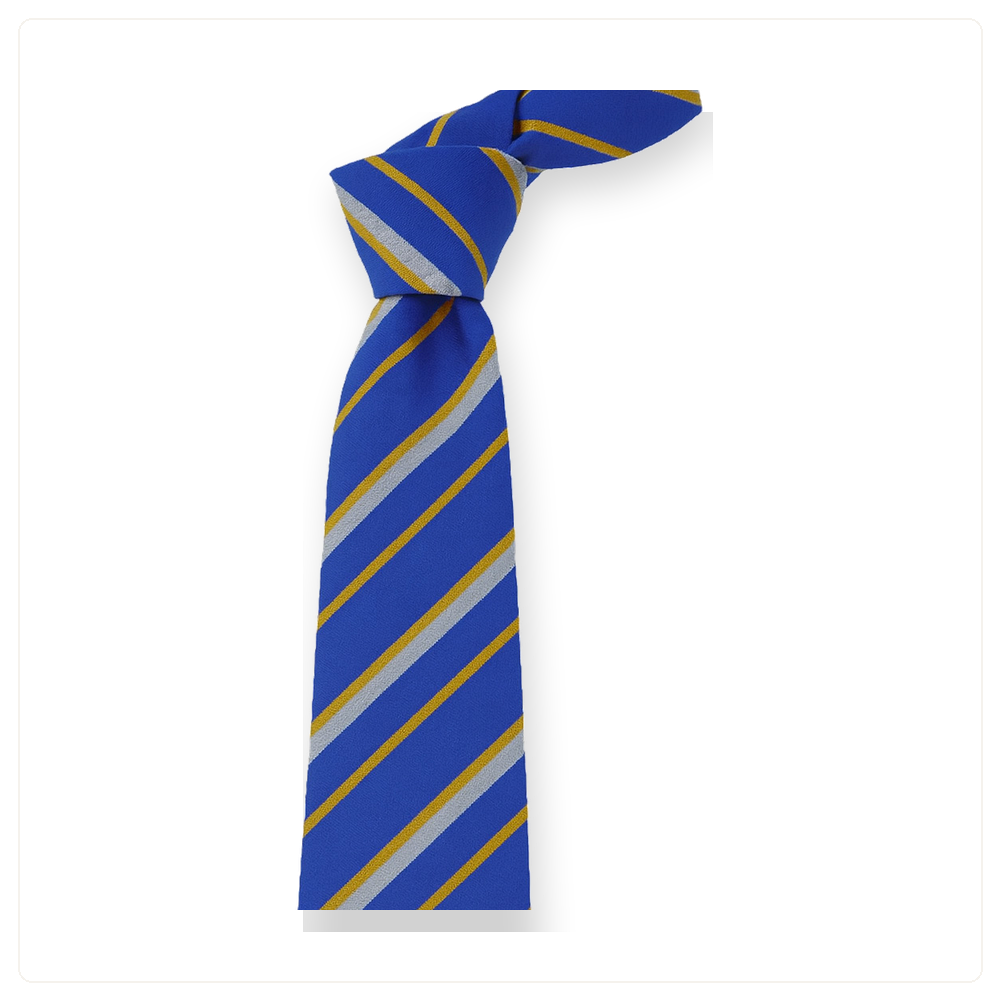 D.H. Christie Memorial Primary School School Tie