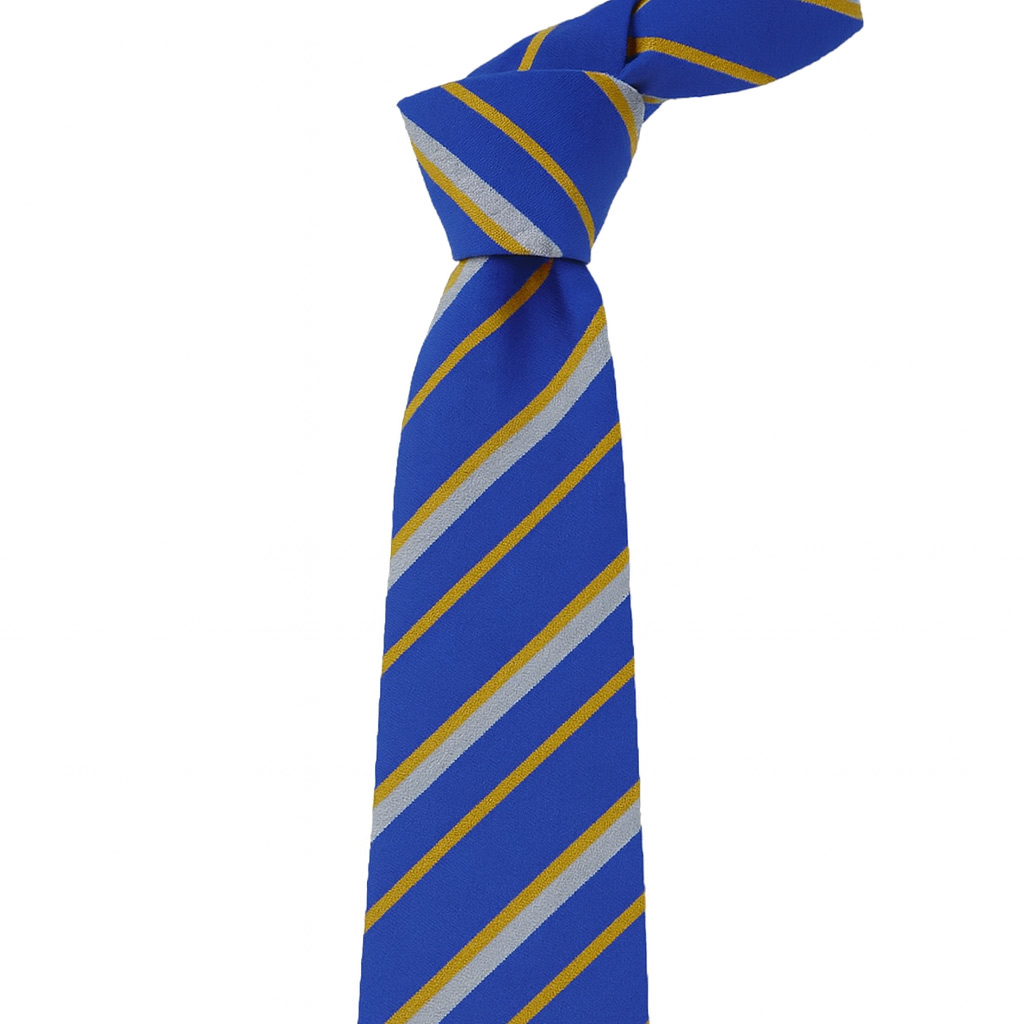 Bushmills Primary School Tie